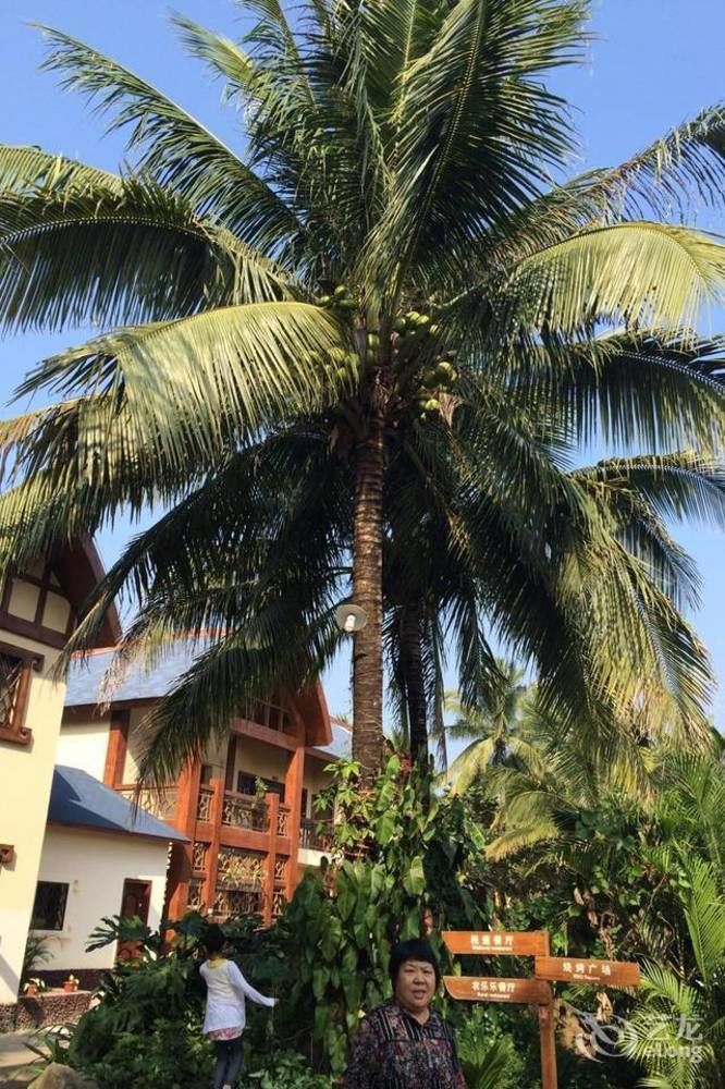 Hainan Bulongsai Resort Hotel Baoting Bagian luar foto