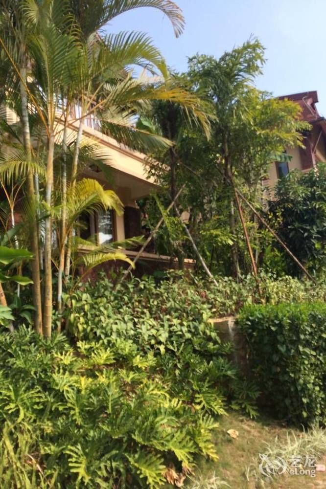 Hainan Bulongsai Resort Hotel Baoting Bagian luar foto